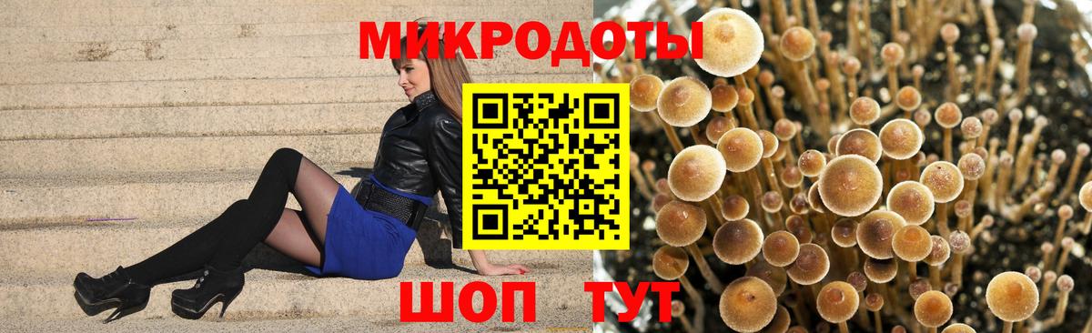 Псилоцибиновые грибы MAGIC MUSHROOMS Звенигород