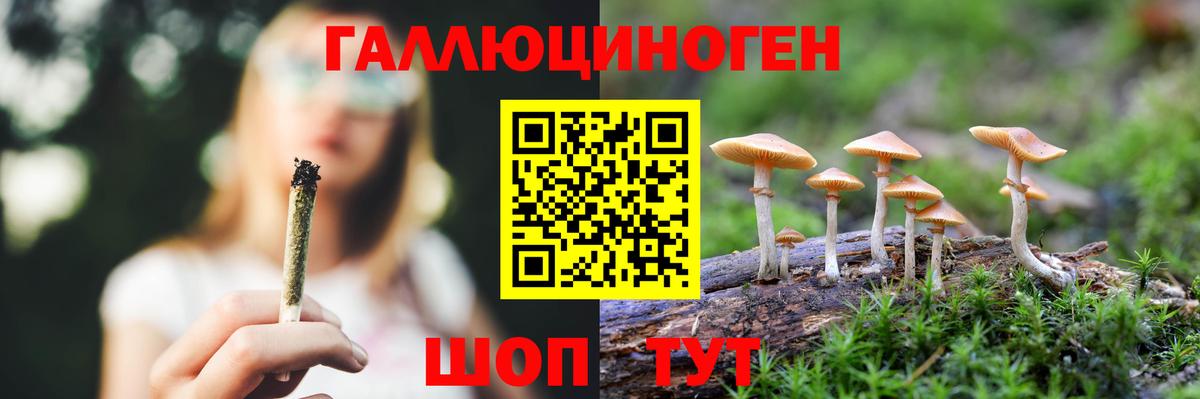 купить   Галлюциногенные грибы прущие грибы  Галлюциногенные грибы Psilocybe  Вход с VPN  Звенигород 